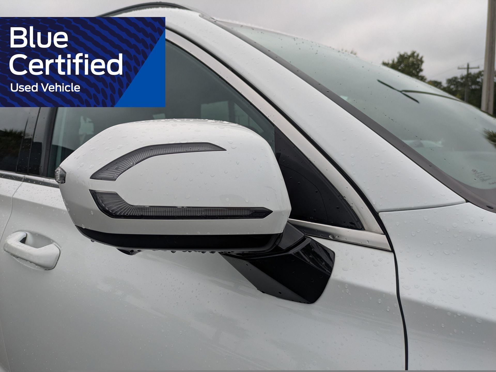 2024 Hyundai Palisade Calligraphy Night Edition White at Bob Mills Chevrolet