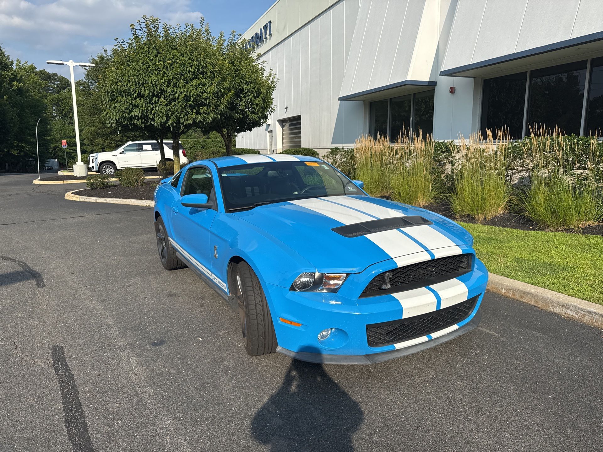 2010 Ford Mustang Shelby GT500