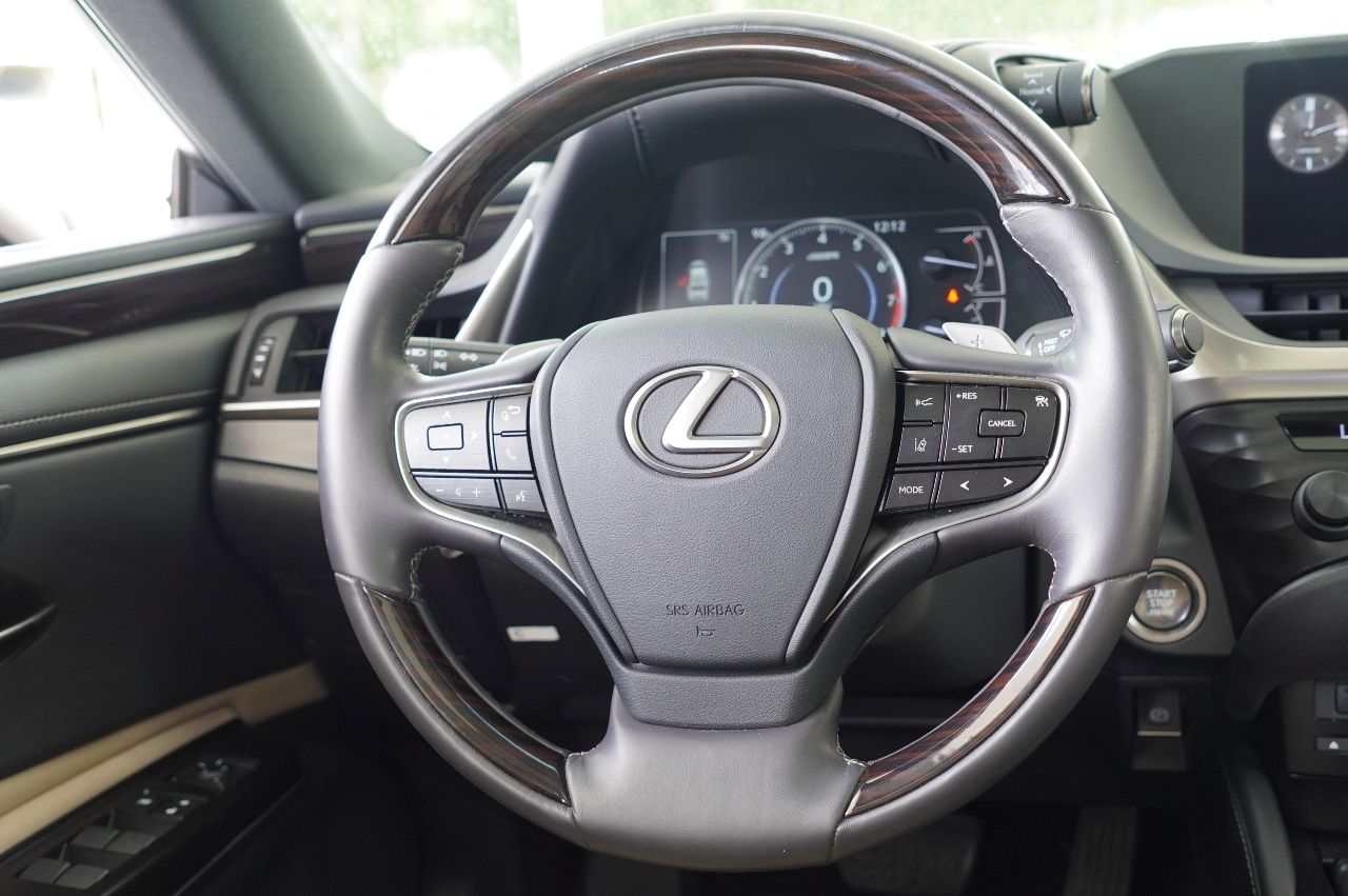 2019 Lexus ES 350 Luxury 19