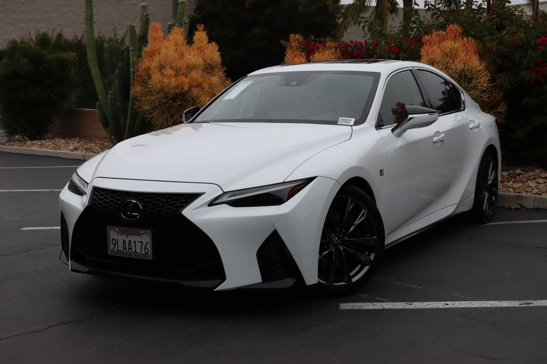 2024 Lexus IS IS photo