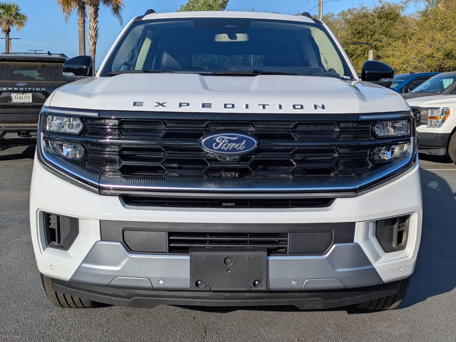 2025 Ford Expedition Max Platinum - 9