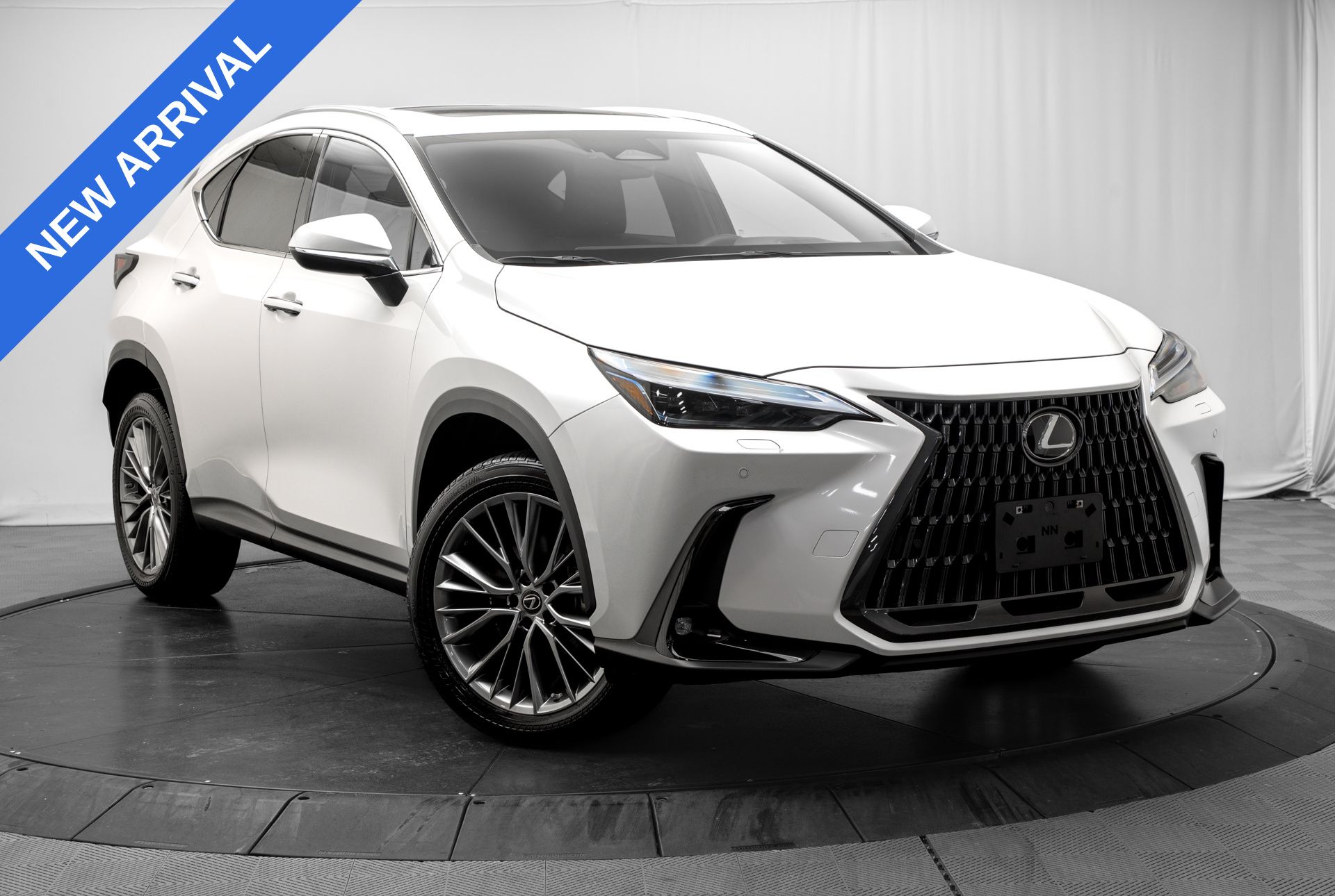 2023 Lexus NX NX 350 Luxury AWD photo