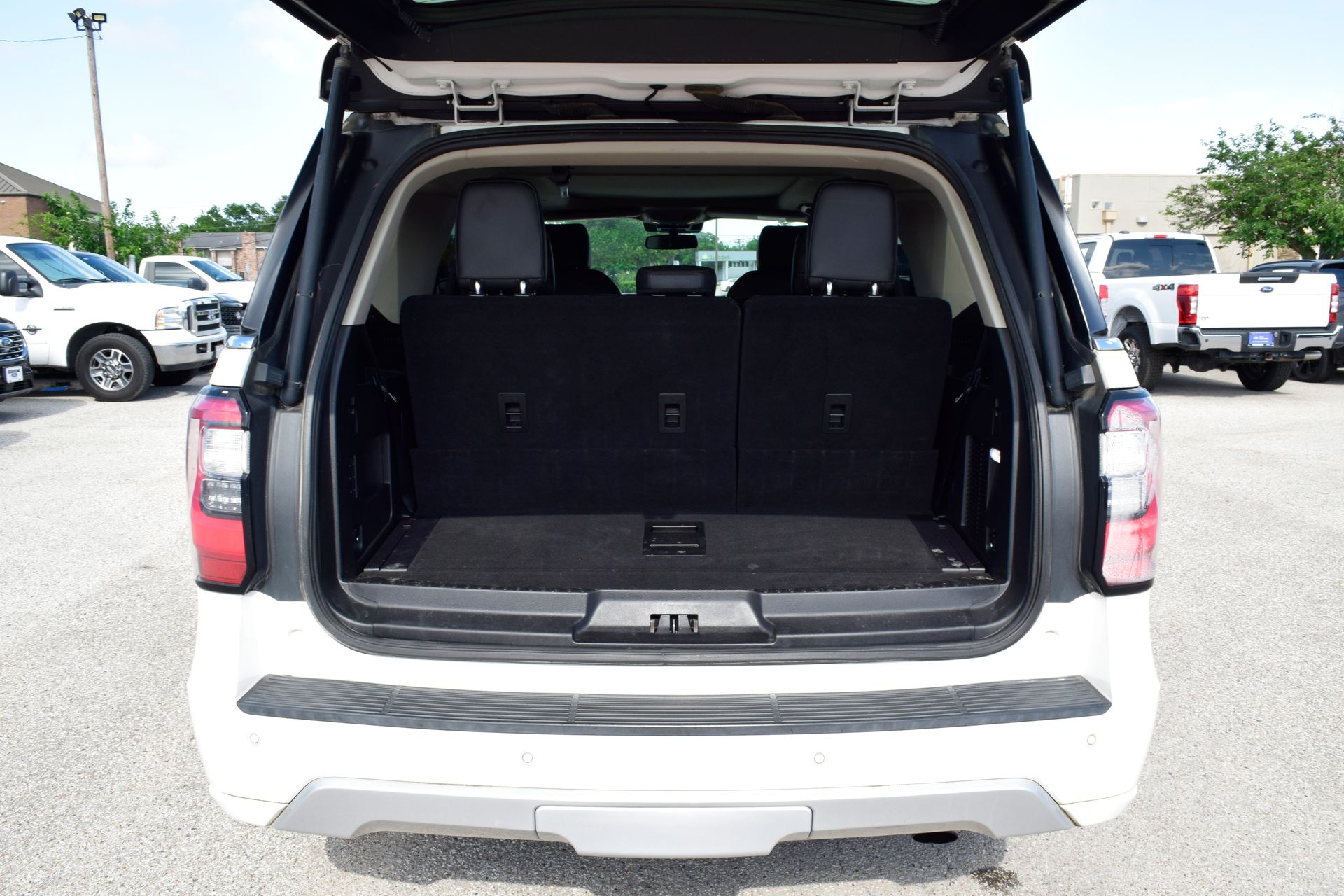 2019 Ford Expedition Platinum White at Emmons Autoplex
