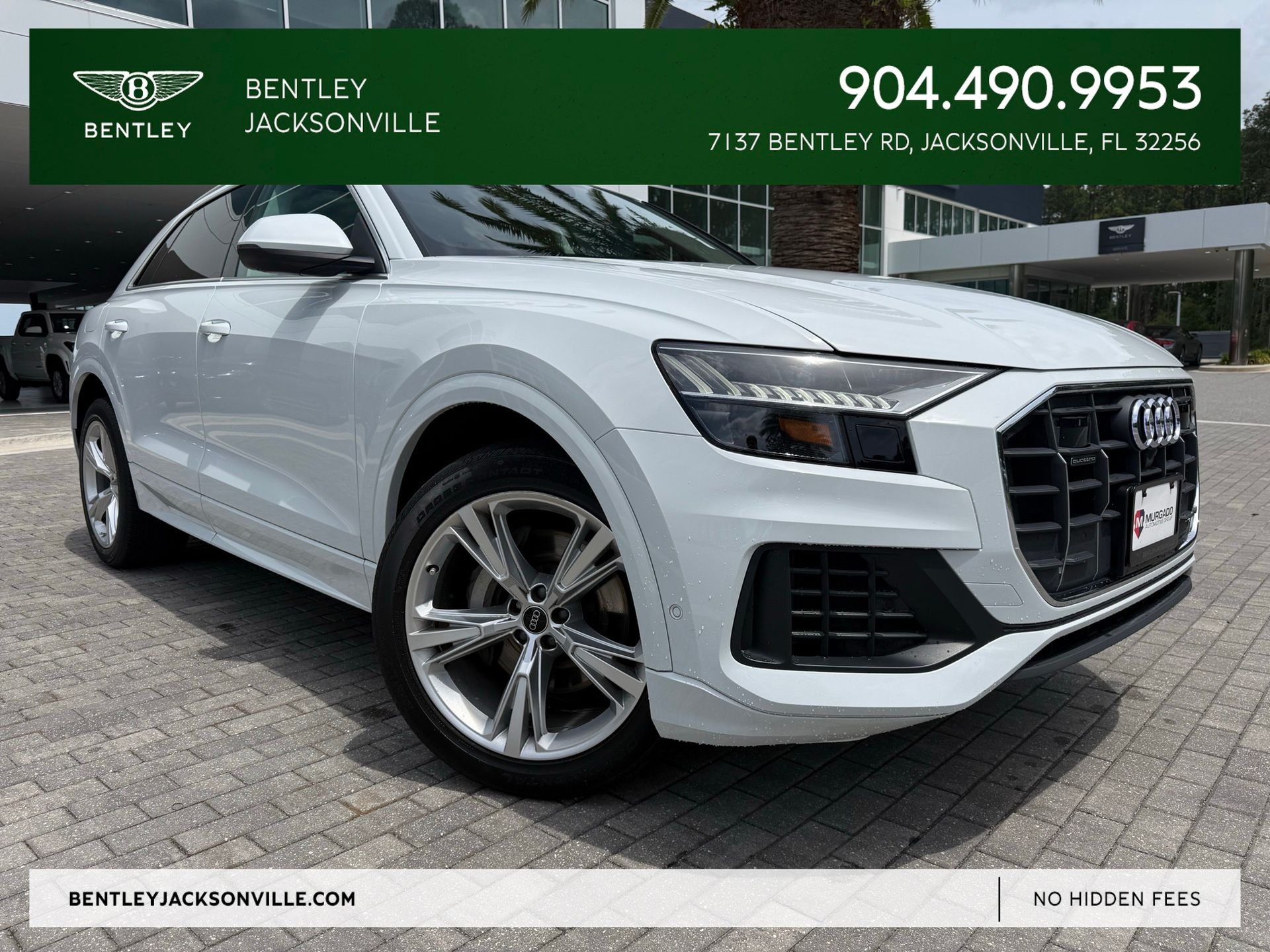 Glacier White 2023 Audi Q8 quattro Premium 55 TFSI SUV / Crossover All-Wheel Drive 8-Speed Automatic