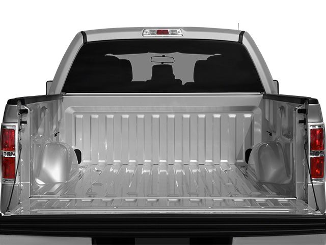 2014 Ford F-150 STX Blue at Emmons Autoplex