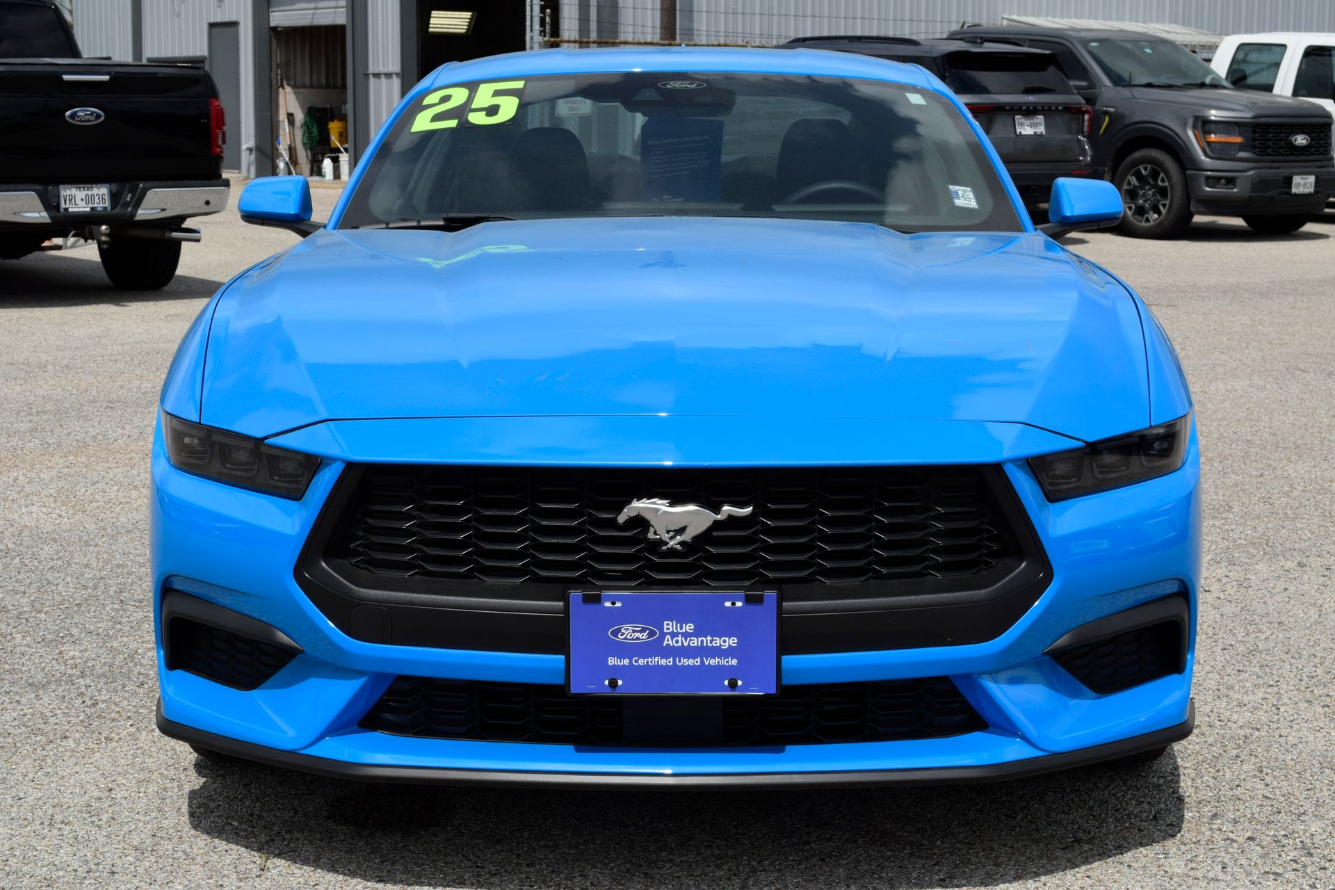 2025 Ford Mustang EcoBoost - 1