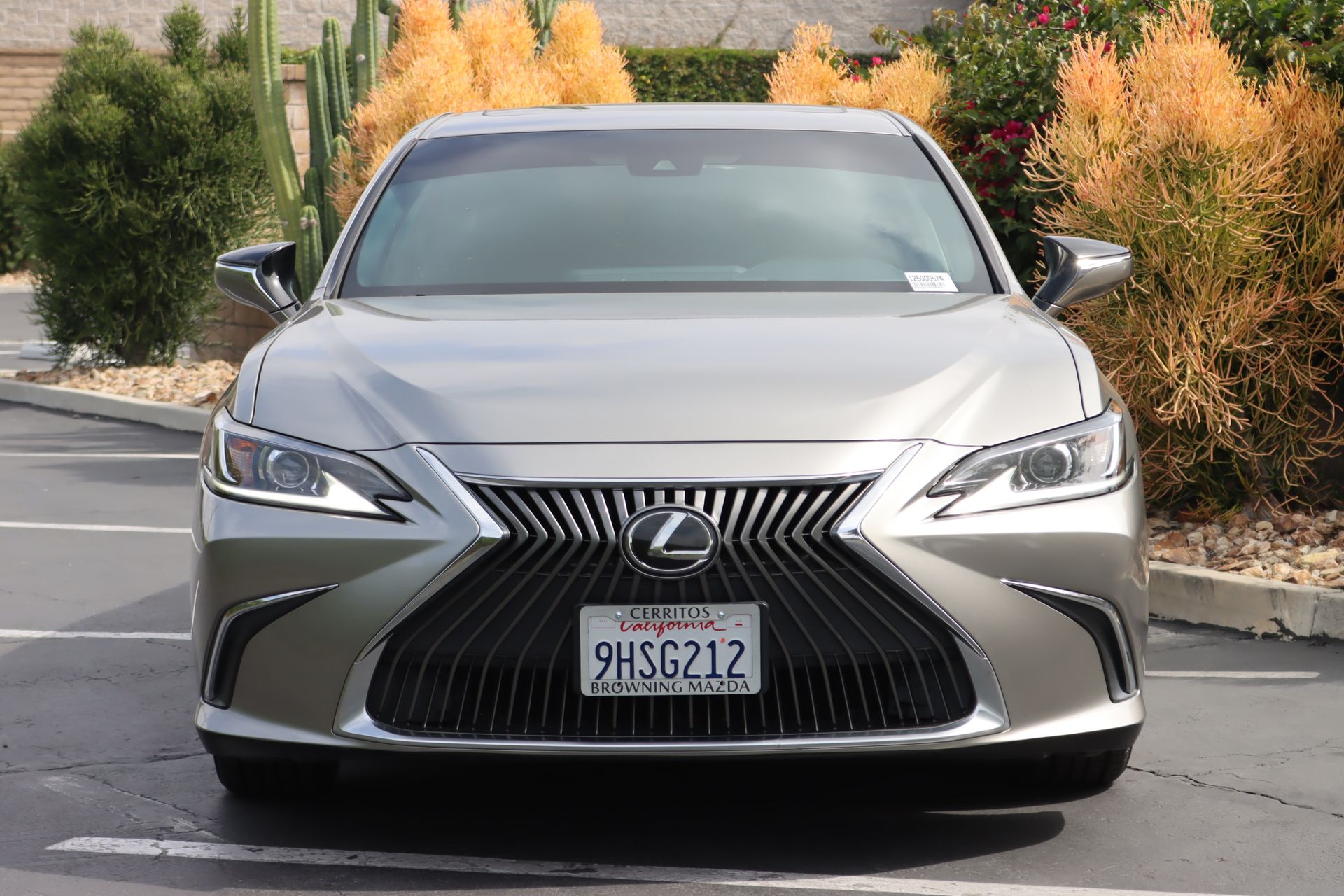 2021 Lexus ES ES photo