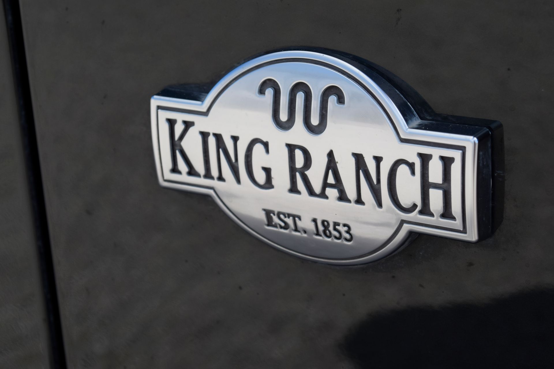 2023 Ford Expedition King Ranch Green at AutoSavvy Houston Southwest