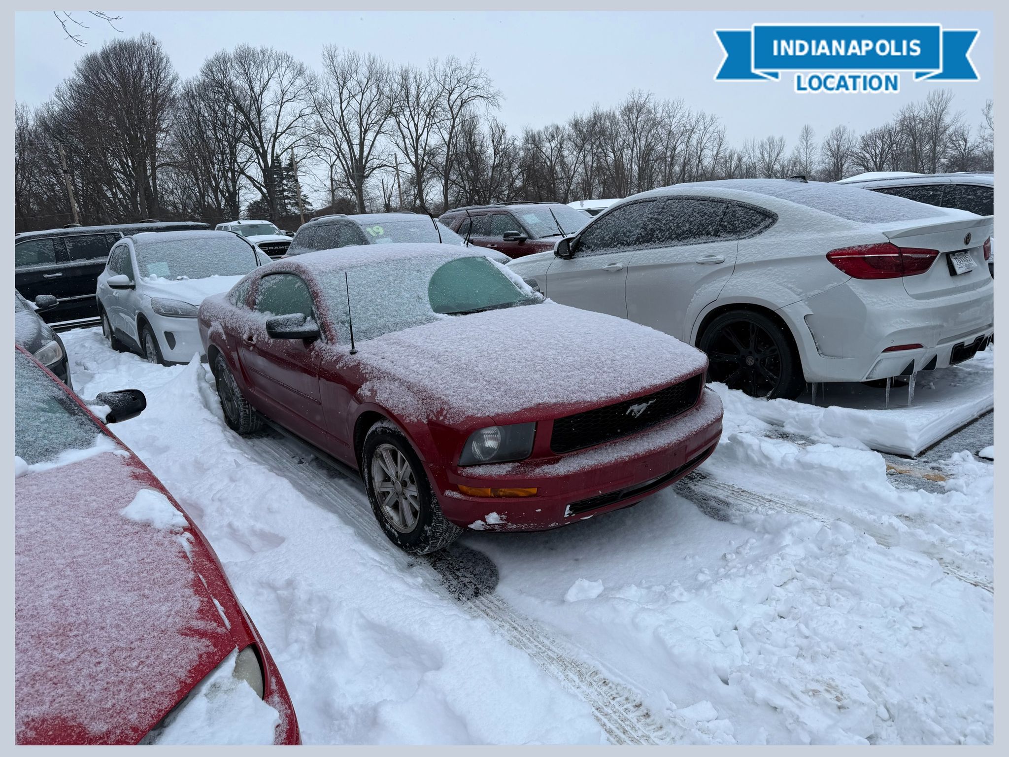 2005 Ford Mustang V6 Deluxe Coupe RWD