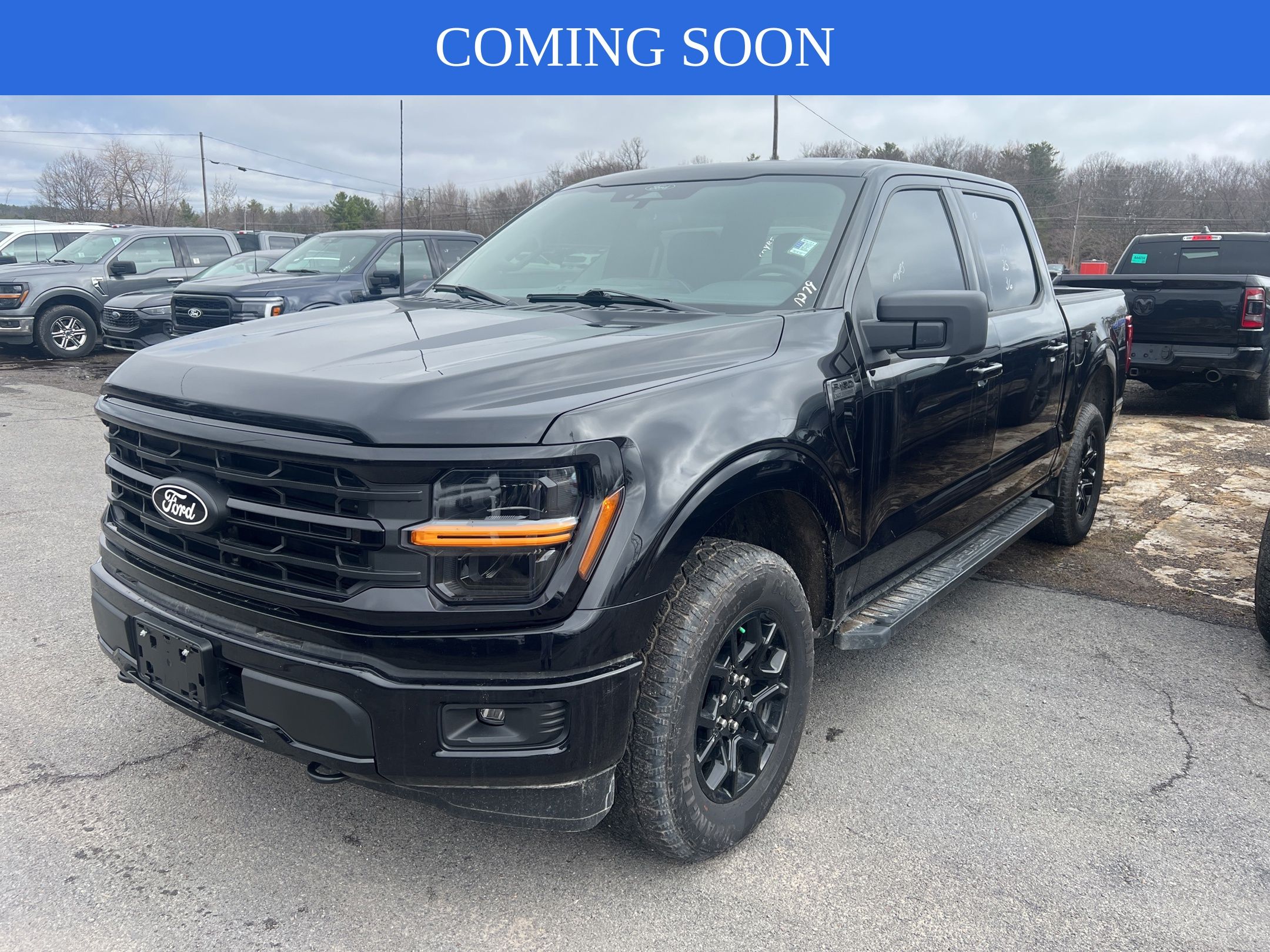 2025 Ford F-150 XLT