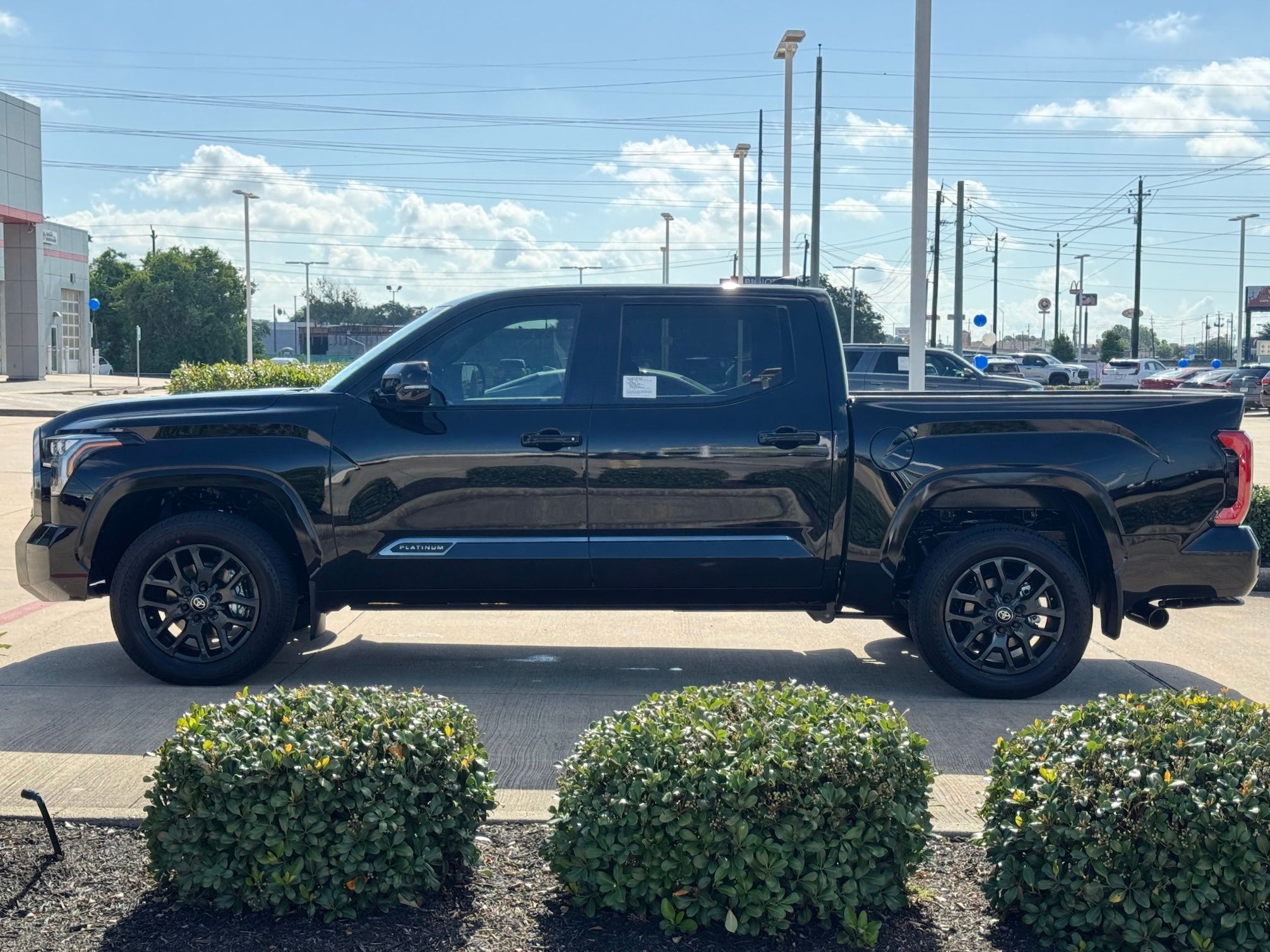 2026 Toyota Tundra Platinum  at Don McGill Toyota