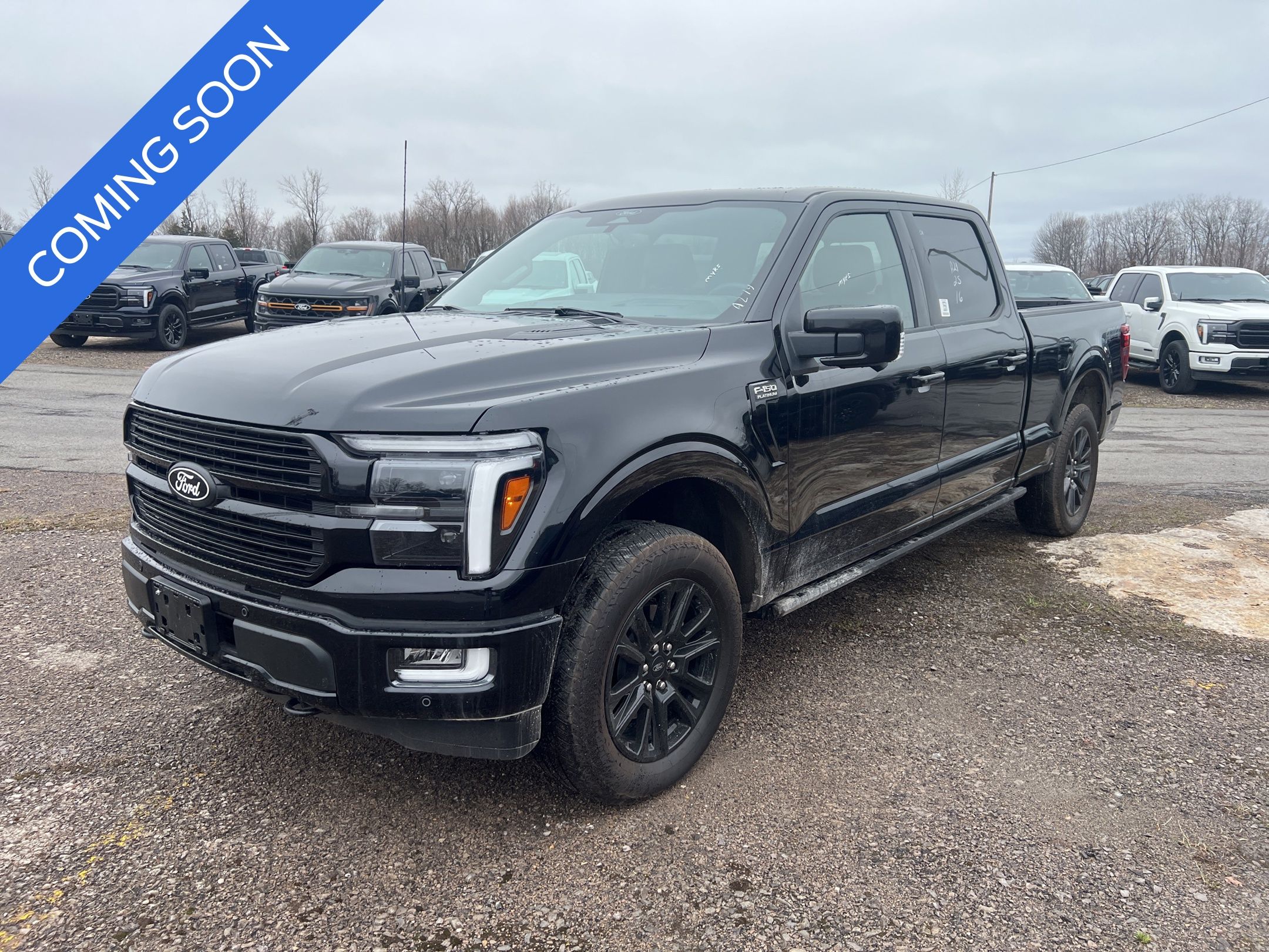 2025 Ford F-150 Platinum