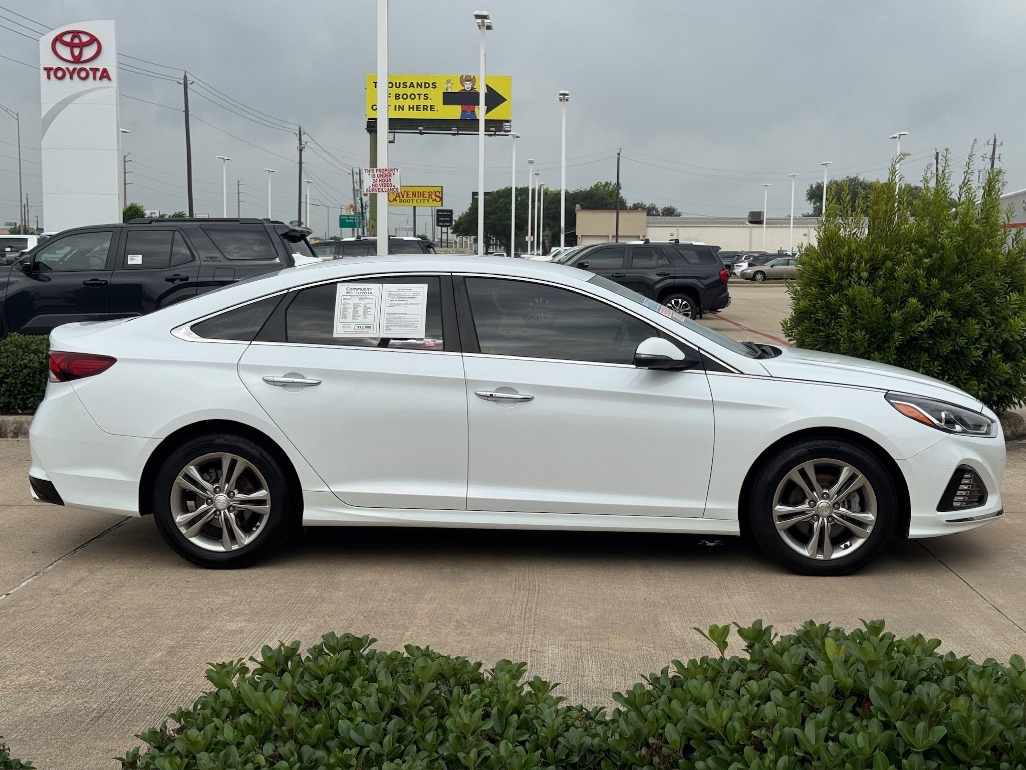 2019 Hyundai Sonata SEL White at Martin Chrysler Dodge Jeep Ram