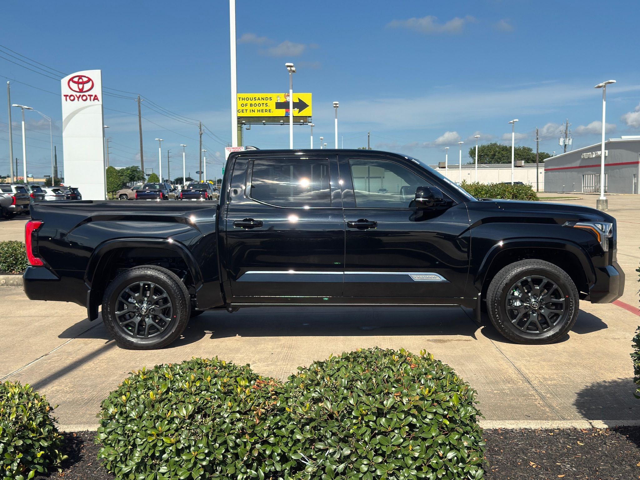 2026 Toyota Tundra Platinum  at Don McGill Toyota