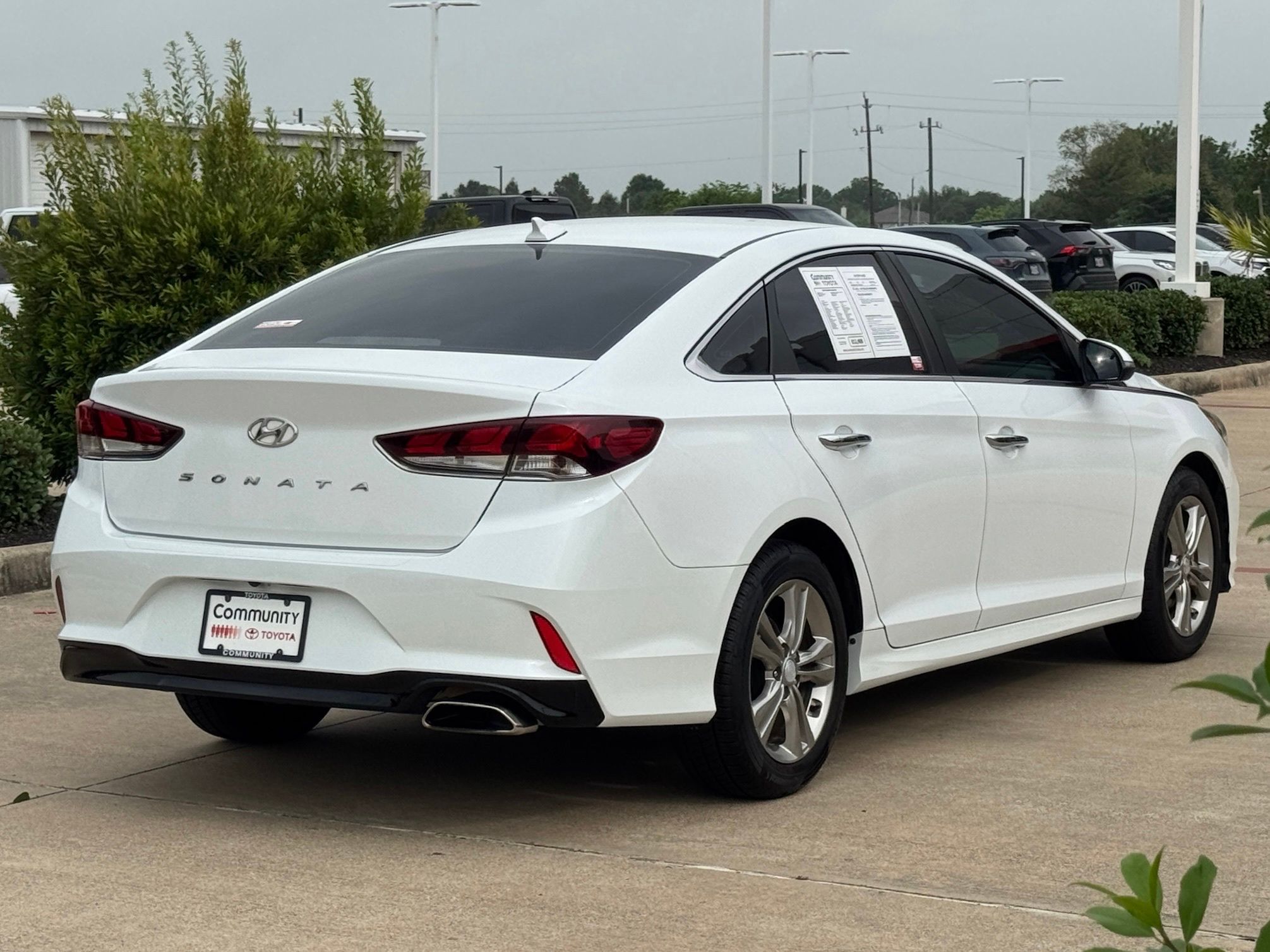 2019 Hyundai Sonata SEL White at Martin Chrysler Dodge Jeep Ram