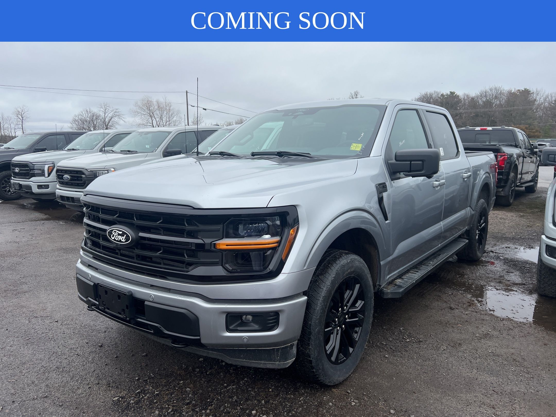2024 Ford F-150 XLT