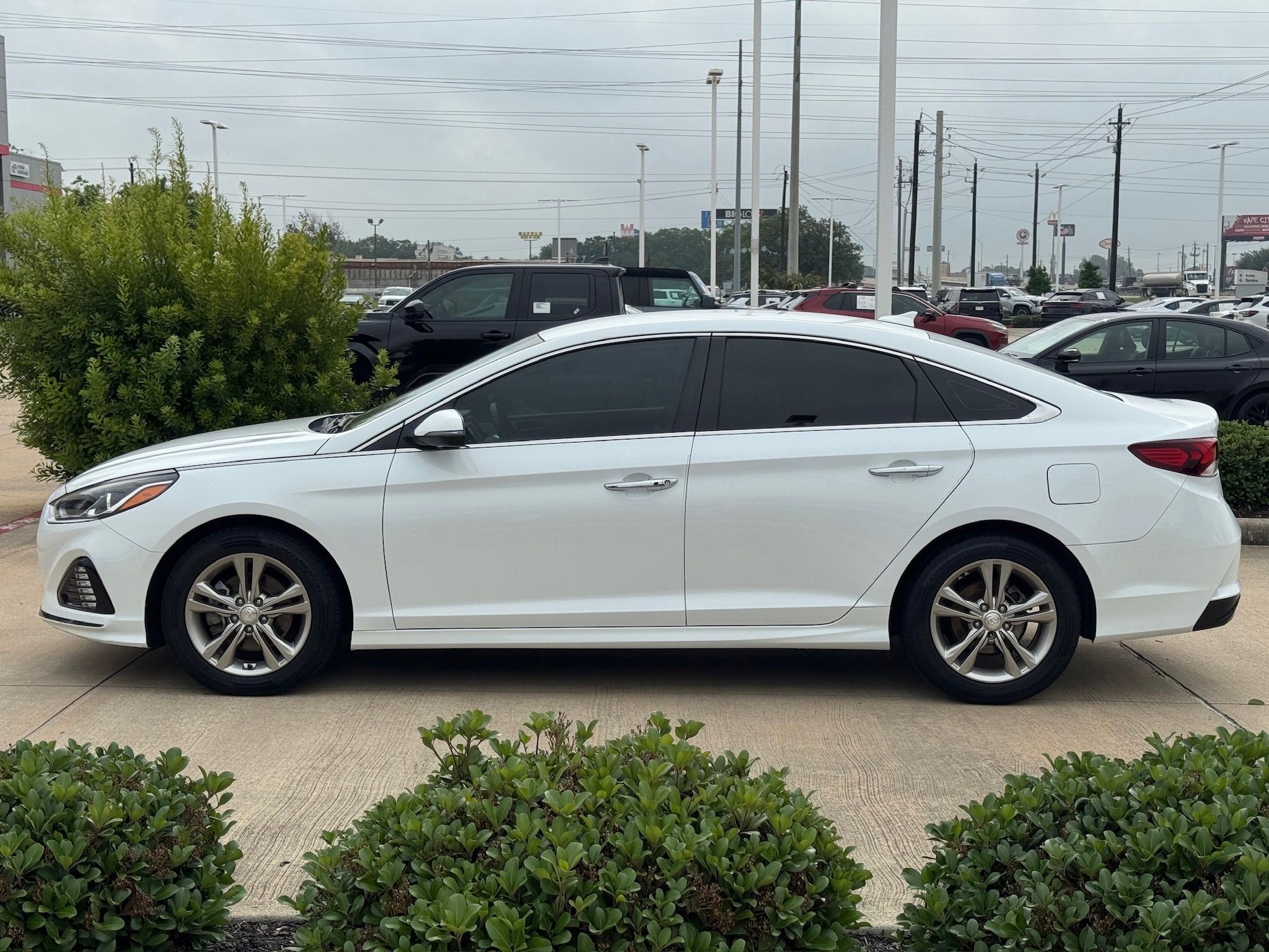 2019 Hyundai Sonata SEL White at Martin Chrysler Dodge Jeep Ram