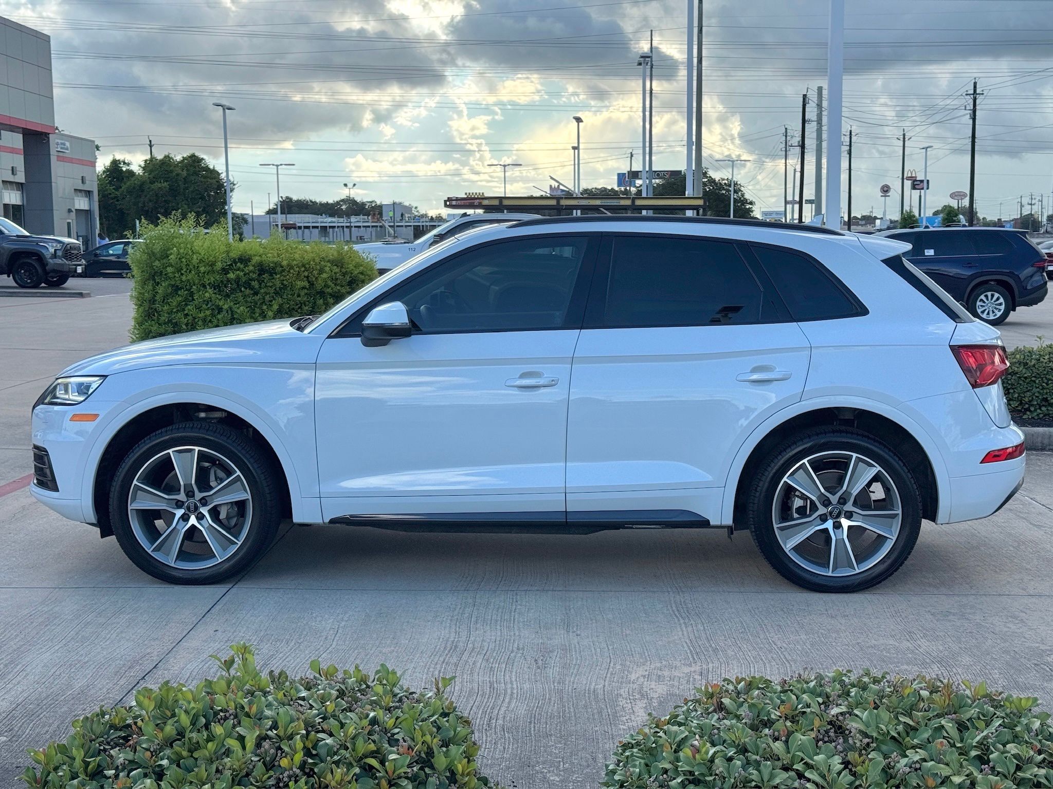 2019 Audi Q5 2.0T Premium Plus White at Ultimate Motorsports