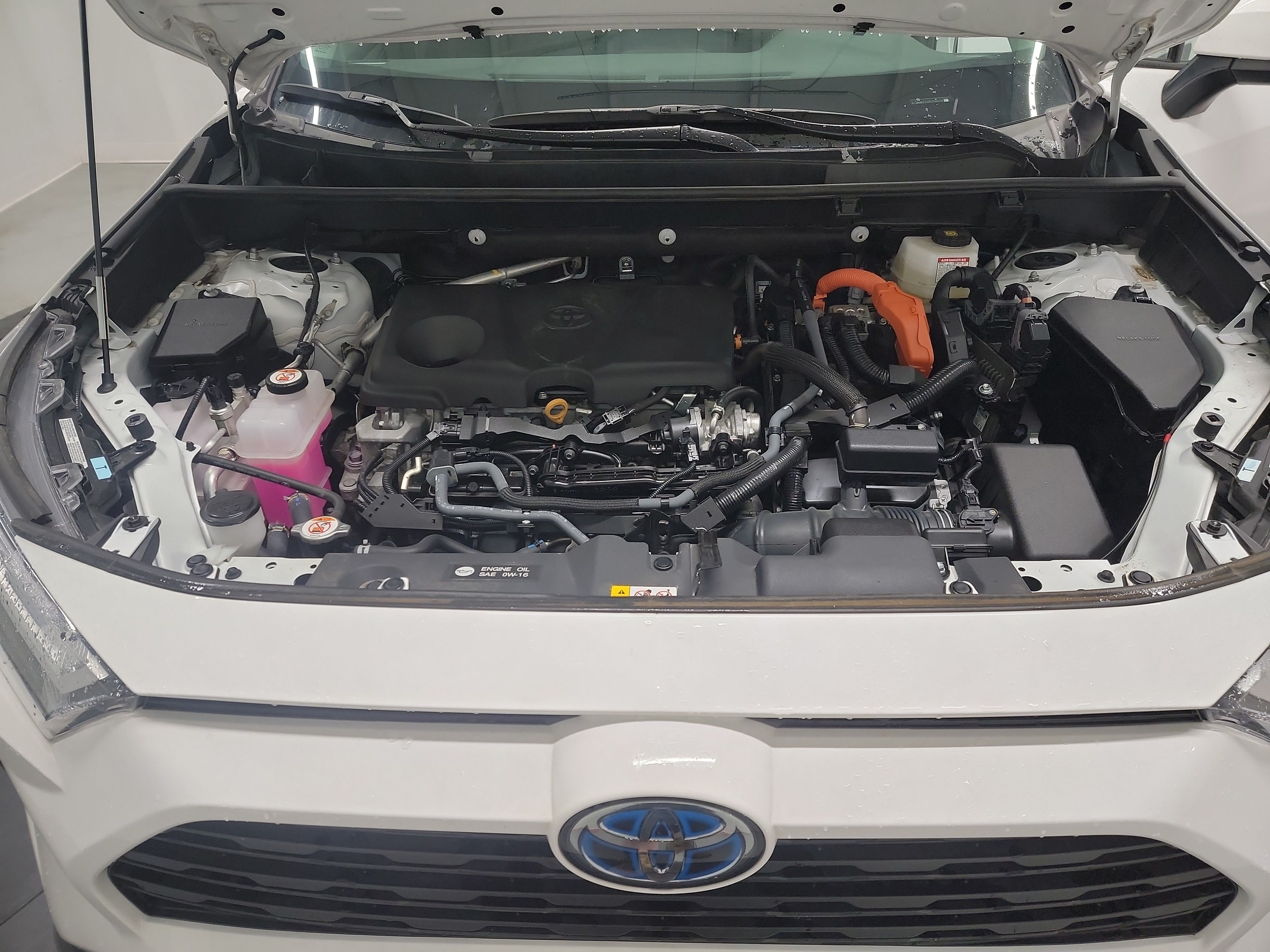 2024 Toyota RAV4 Hybrid XLE photo