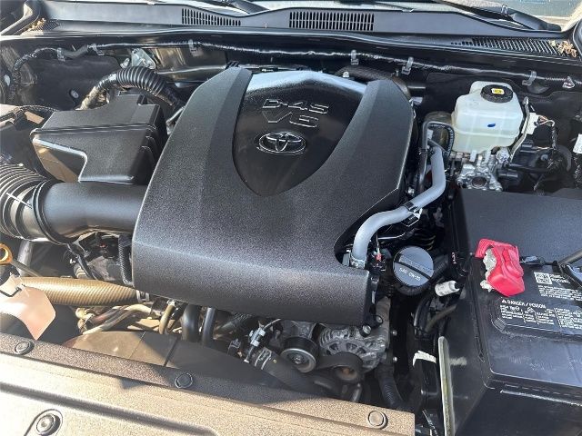 Used 2022 Toyota Tacoma Truck