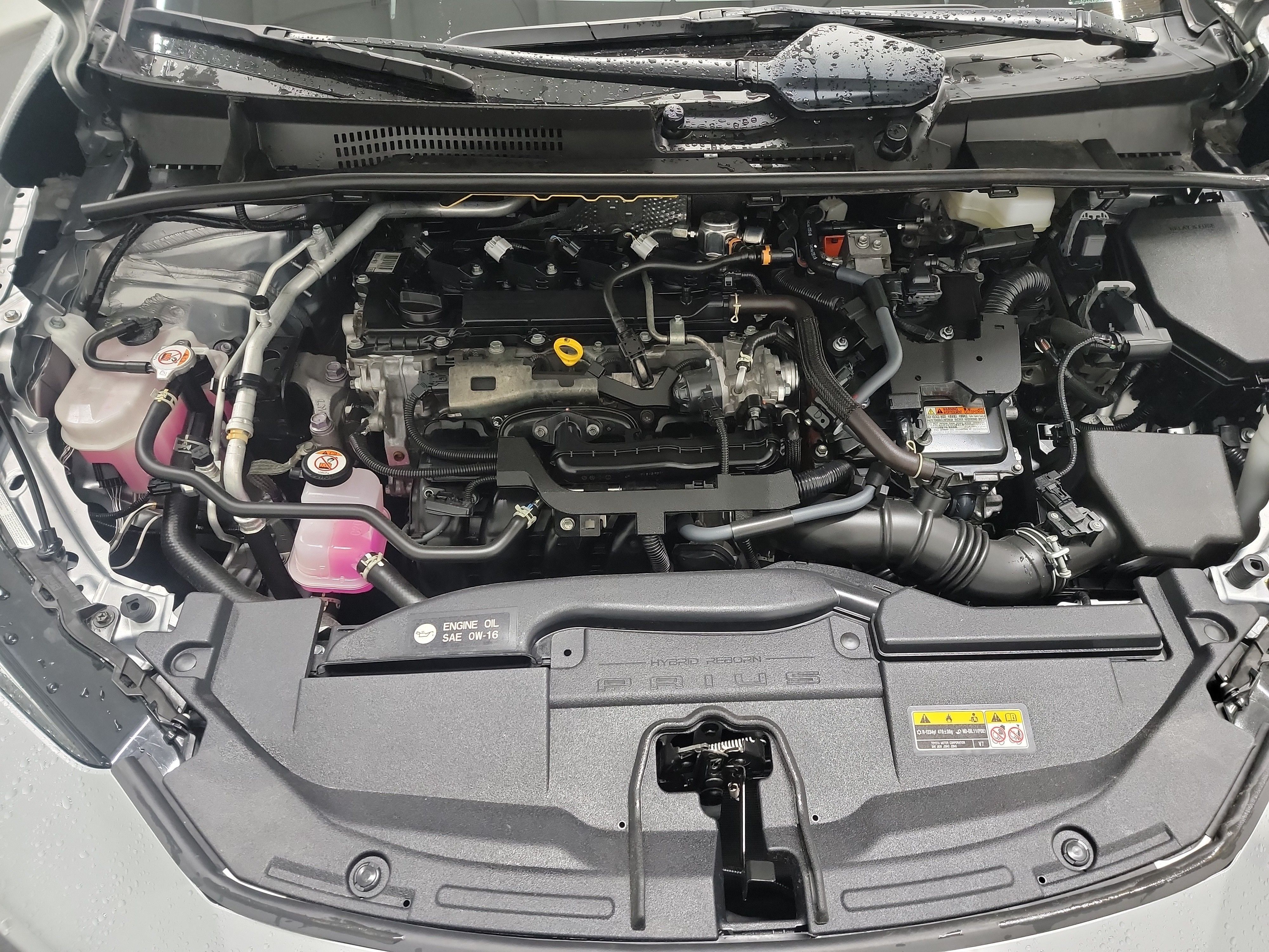 2023 Toyota Prius LE photo