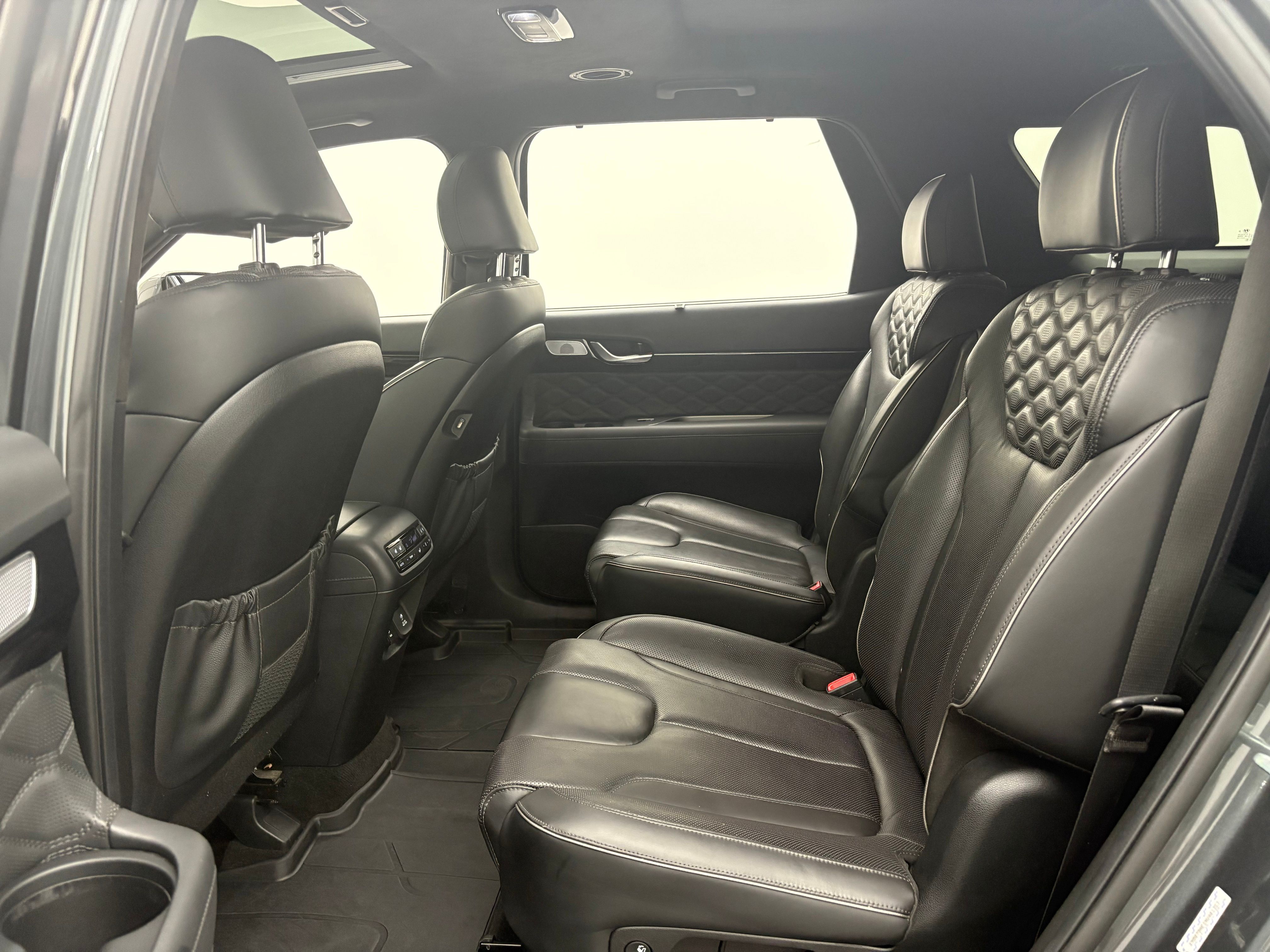 Used 2022 Rainforest Hyundai Calligraphy image 46