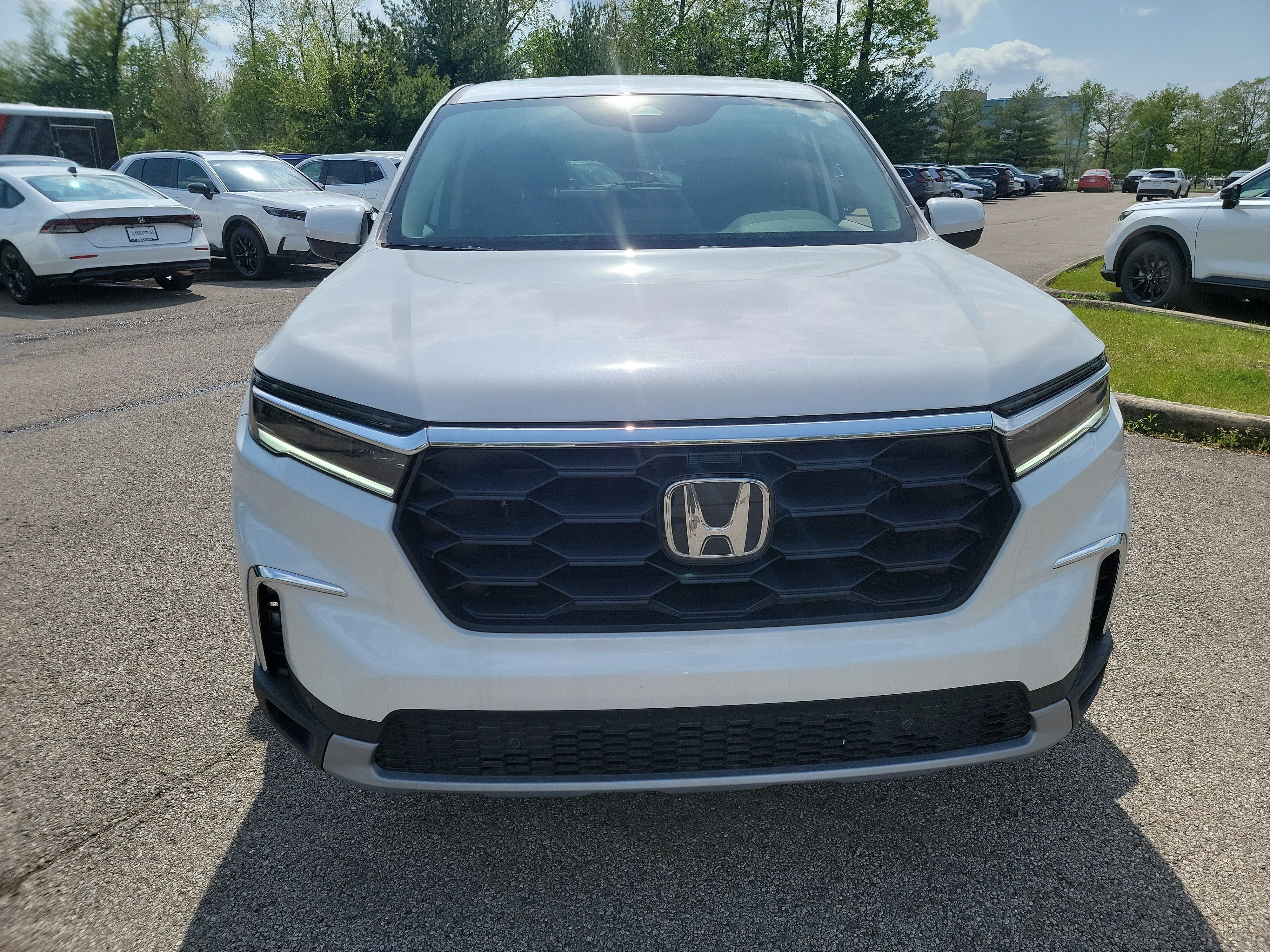 2025 Honda Pilot EX-L photo