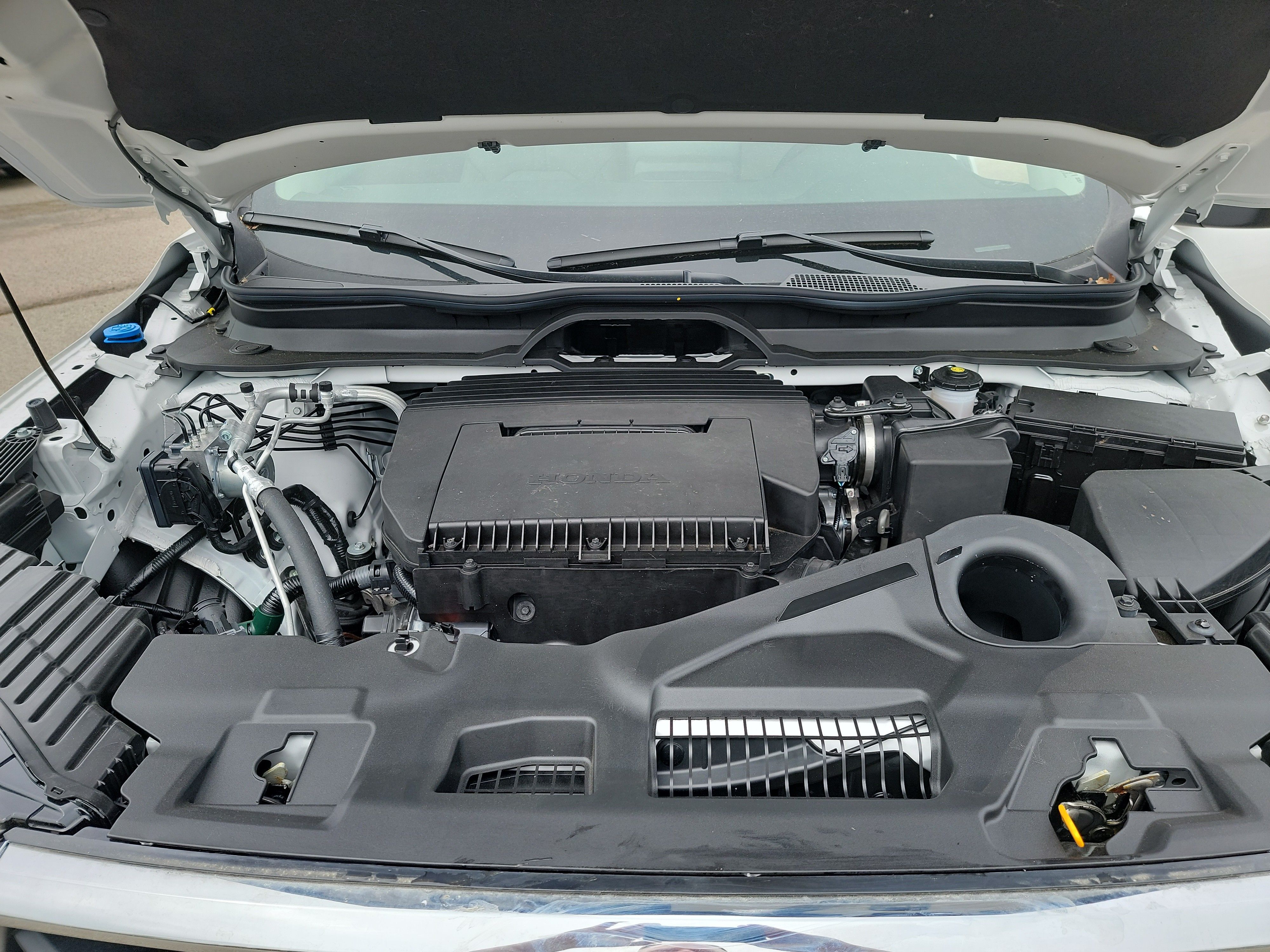 2025 Honda Pilot EX-L photo