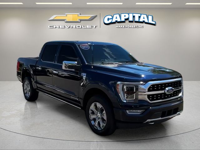 Used 2023 Blue Ford Platinum image 7