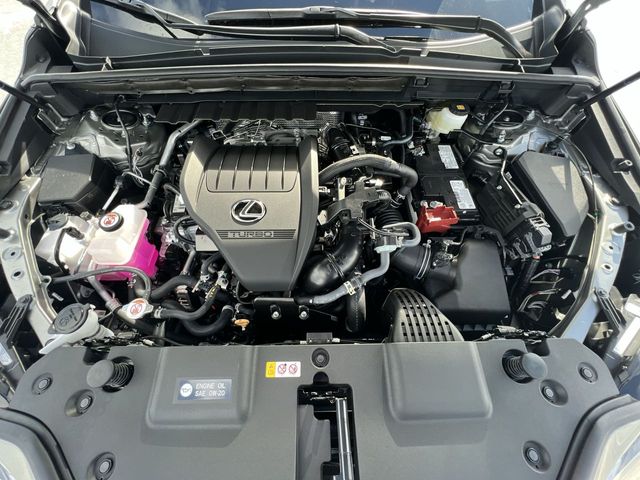 2024 Lexus NX - $43,888