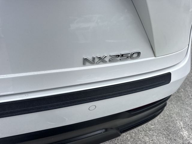 2025 Lexus NX - $37,498