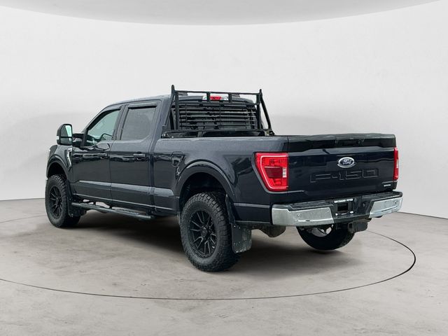 Used 2023 Blue Ford XLT image 7