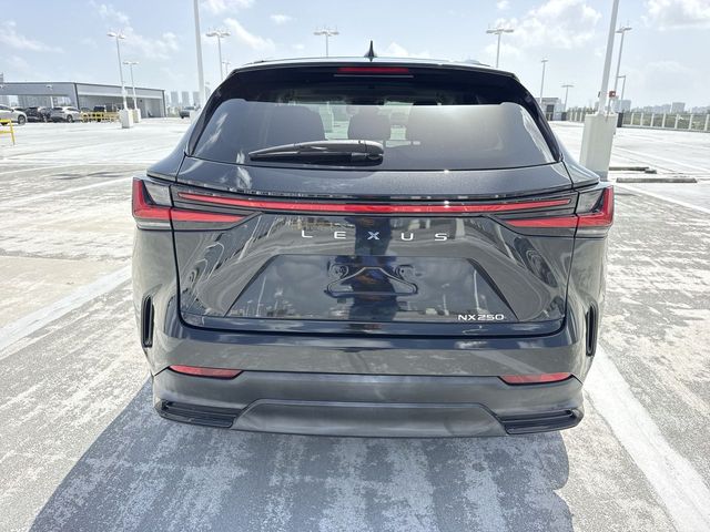 2024 Lexus NX - $37,588