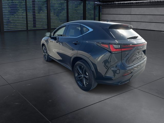 Used 2025 Lexus NX SUV