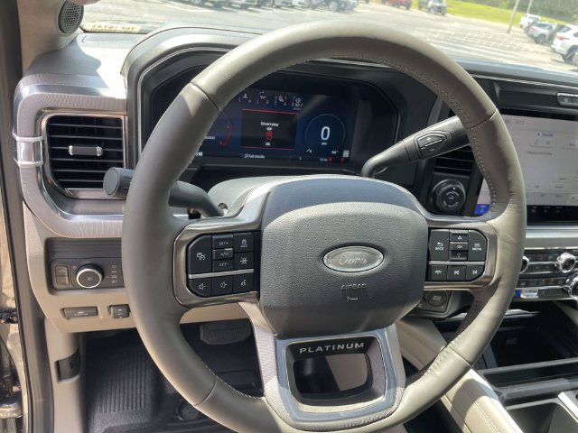 New 2026 Gray Ford Platinum image 16