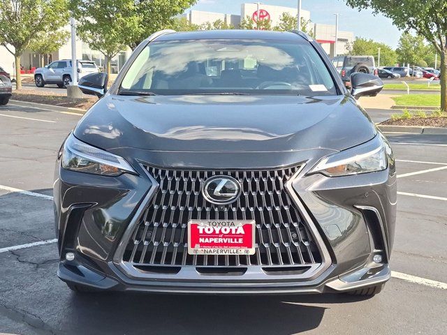 Used 2025 Lexus NX SUV
