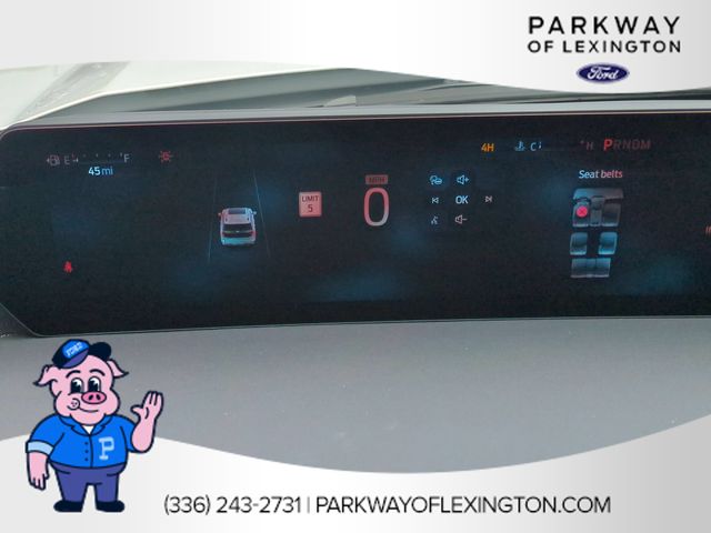 New 2026 White Ford Platinum image 18