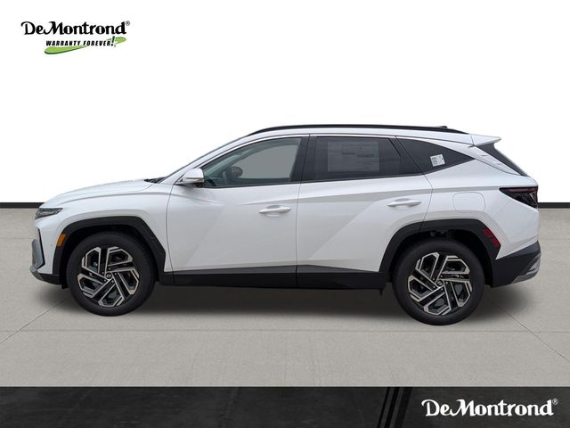 2026 Hyundai Tucson Limited White at DeMontrond Gulf Freeway