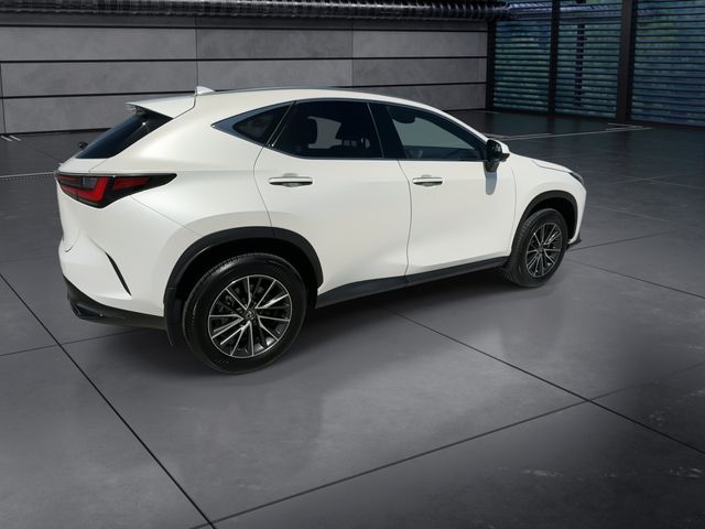 Used 2025 Lexus NX SUV