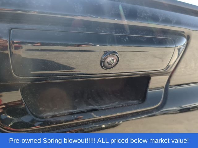 Used 2026 Black Ram RHO image 13