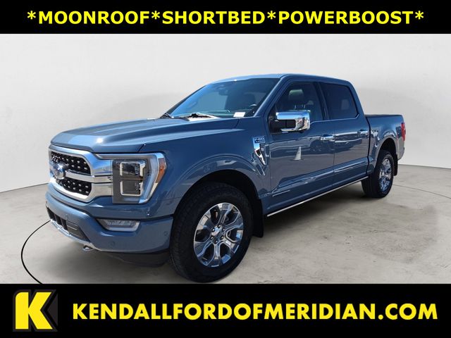 2023 Ford F-150 Platinum SuperCrew 4WD