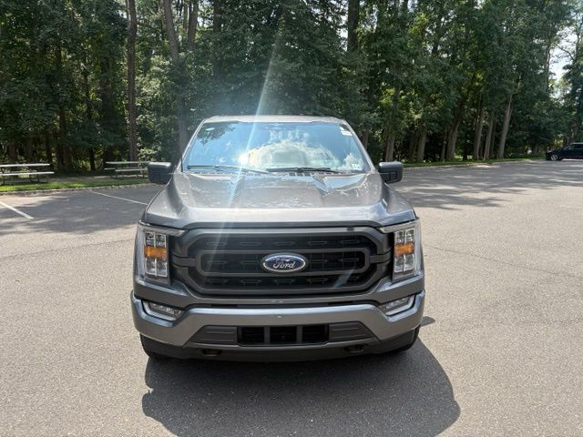 Gray Metallic 2023 Ford F-150 Pickup Truck Four-Wheel Drive Automatic