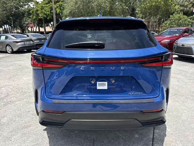 Used 2025 Lexus NX SUV