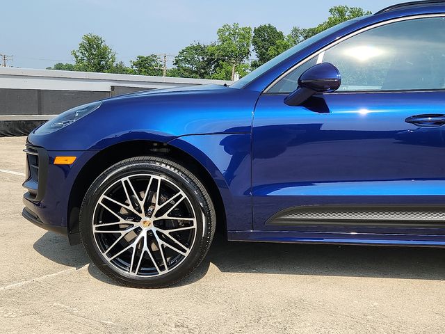 Macan