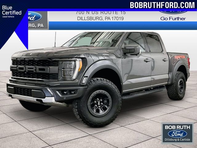 Gray (Lead Foot) 2021 Ford F-150 Raptor SuperCrew 4WD Pickup Truck Four-Wheel Drive Automatic