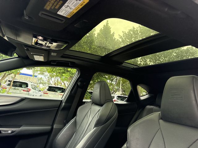 Used 2024 Lexus NX SUV