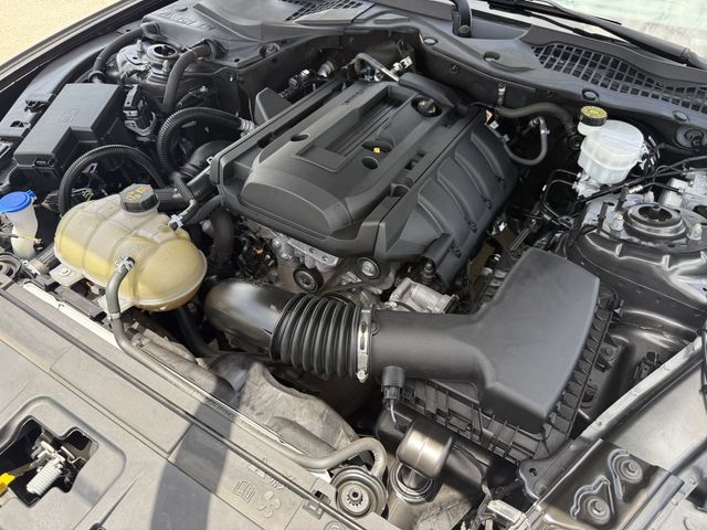 2020 Ford Mustang EcoBoost Gray at Emmons Autoplex