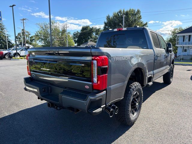 New 2026 Gray Ford Platinum image 4