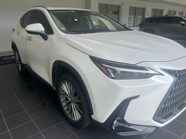 2025 Lexus NX 350 Premium White at Westside Lexus