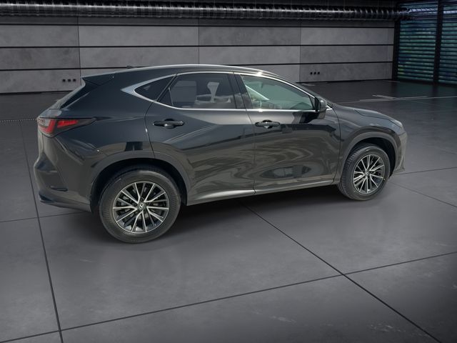 2024 Lexus NX - $37,588